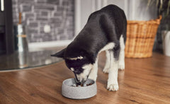 Anti-Schling Einsatz