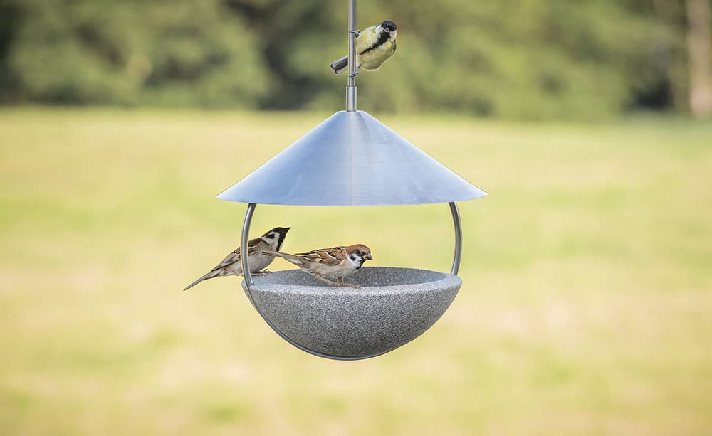 Moderner Vogel-Futterspender mit Spatzen im Fokus, im Hintergrund eine grüne Wiese.