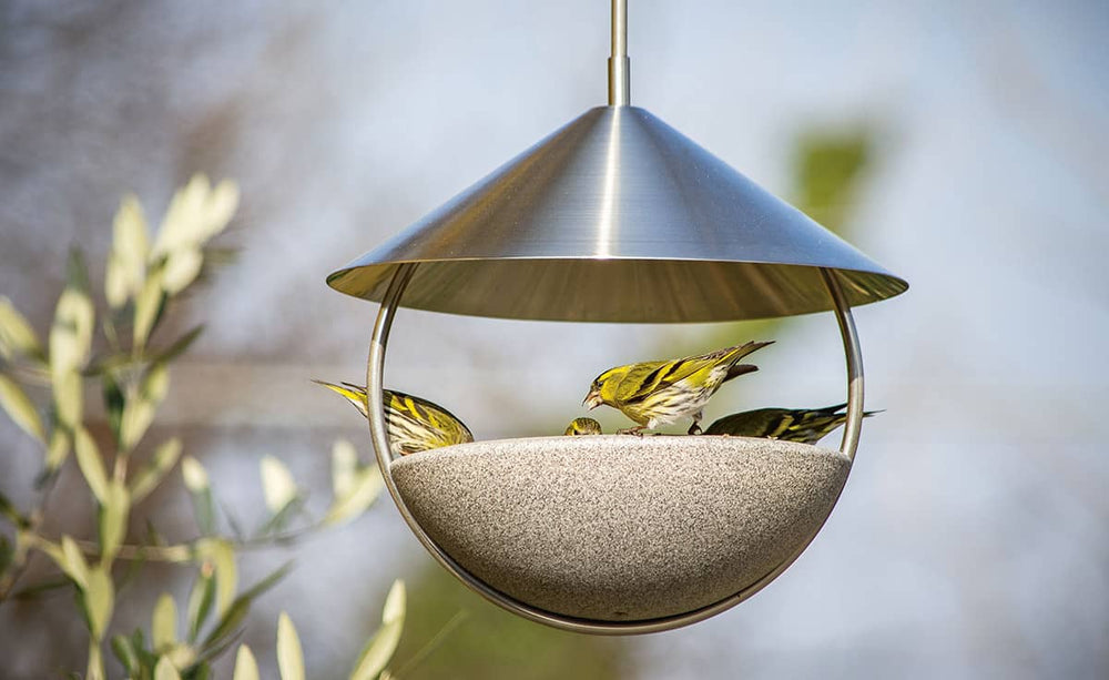 Hängender Vogelfutterspender in Schalenform mit gelb-grünen Vögeln beim Fressen, umgeben von unscharfem Grün.