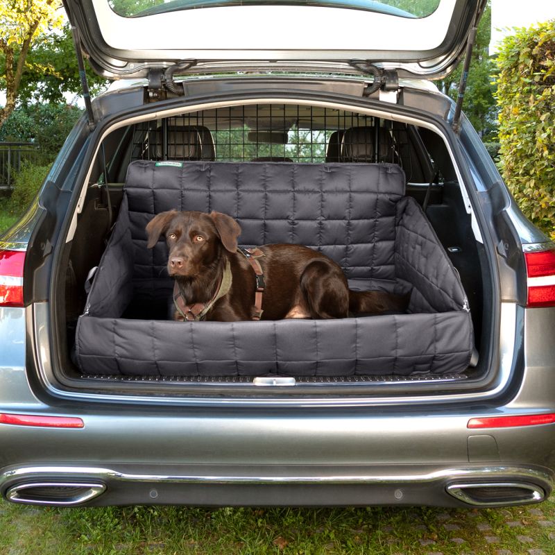 "Graue Autoschondecke im Kofferraum, brauner Hund entspannt in gepolsterter Hundetransportbox."