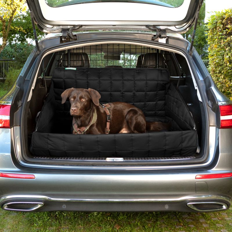 Schwarze Autoschondecke im Kofferraum, brauner Hund mit Geschirr sitzt darauf, durch Gitter vom Fahrzeuginneren abgetrennt.