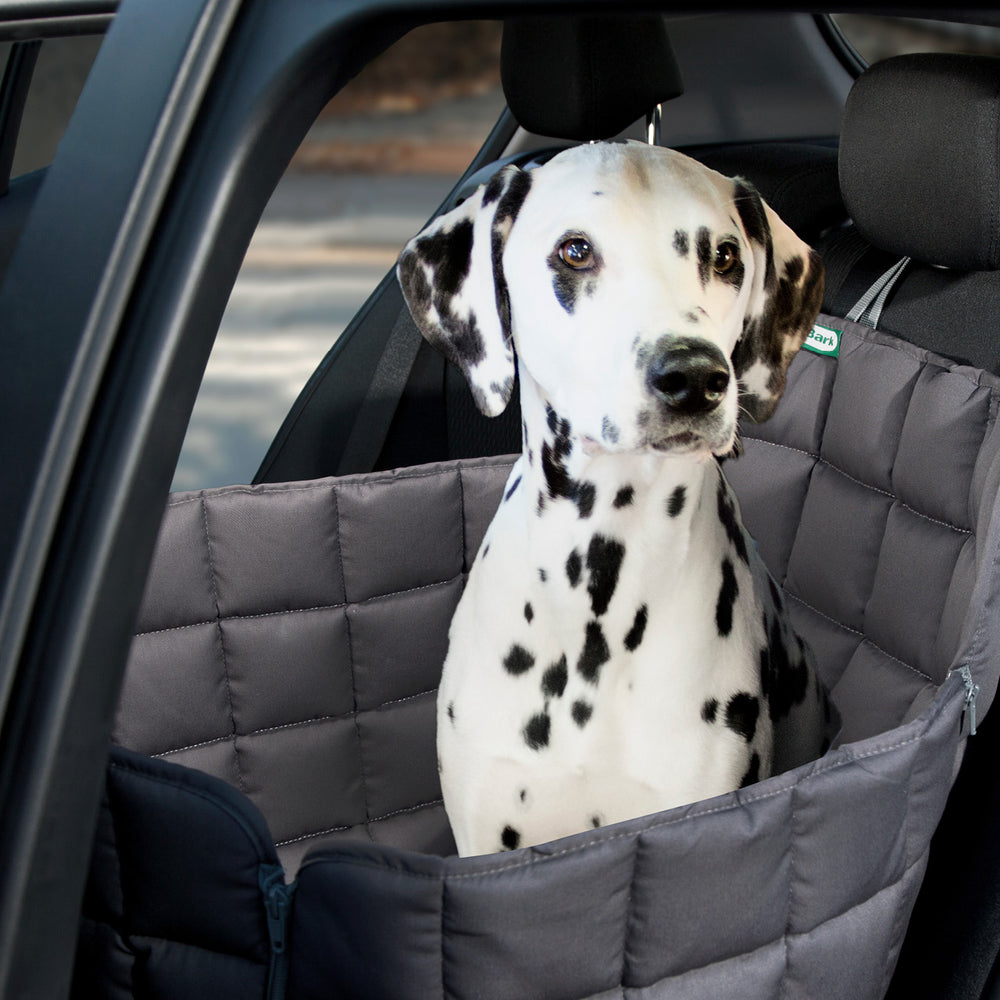 Dalmatiner in grauer Hundetransportbox auf dem Rücksitz eines Autos für sichere Autofahrten.