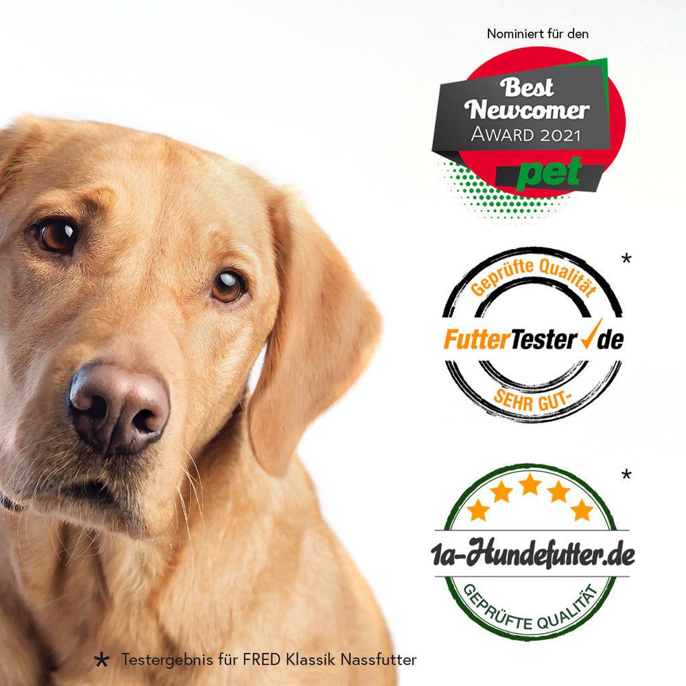 Hund mit aufmerksamem Blick, umgeben von Auszeichnungen für hochwertiges Hundefutter mit FRED Hirsch & Wildschwein.