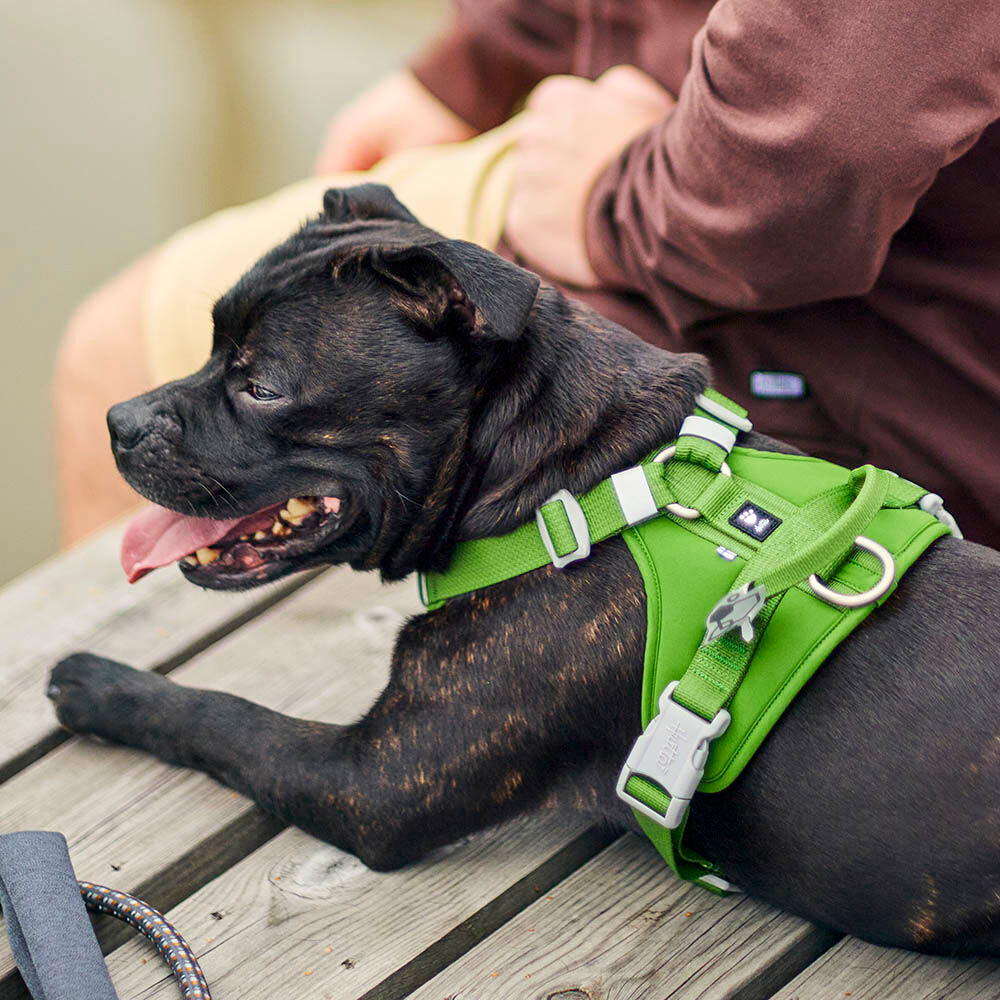Hundegeschirr Weekend Warrior Harness II – zusätzliche Produktansicht 9