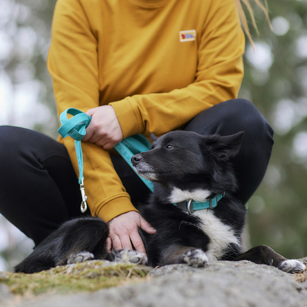 Hundeleine Casual reflective leash ECO – zusätzliche Produktansicht 1