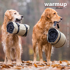Zwei Golden Retriever-Hunde tragen zusammengerollte Decken auf einem mit Herbstblättern bedeckten Boden.