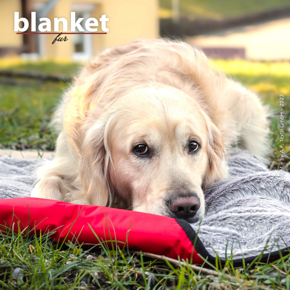Golden Retriever entspannt auf grauer Decke mit grünen Wiesen und einem Gebäude im Hintergrund.