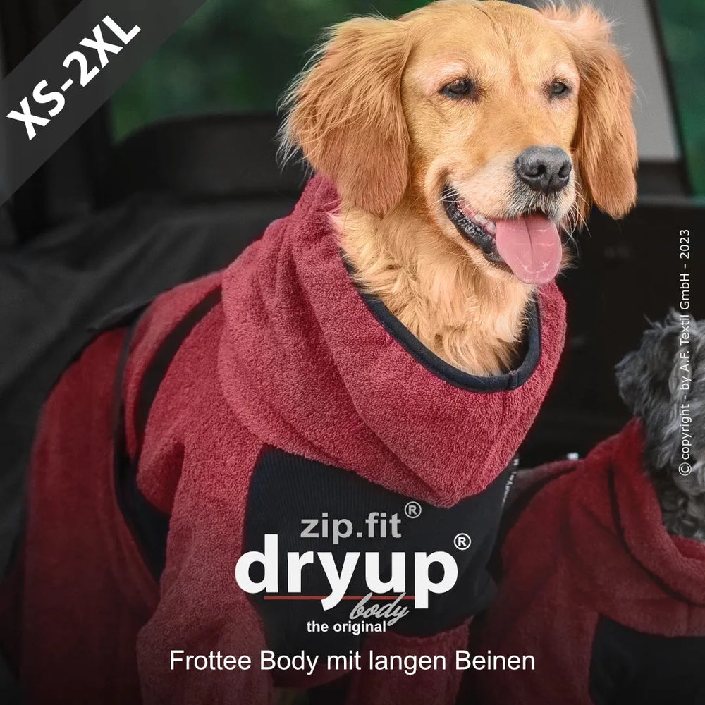 Stylischer roter Frottéebody für Hunde, bietet Komfort und Schutz, mit weiteren Hunden und einer Autofolie im Hintergrund.