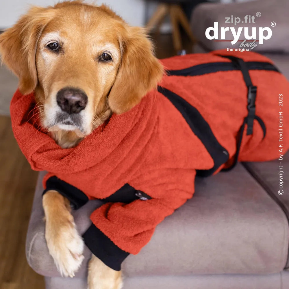 Golden Retriever trägt orangefarbenen, kuscheligen Hundemantel mit Kapuze und Gürtel auf grauem Sofa.