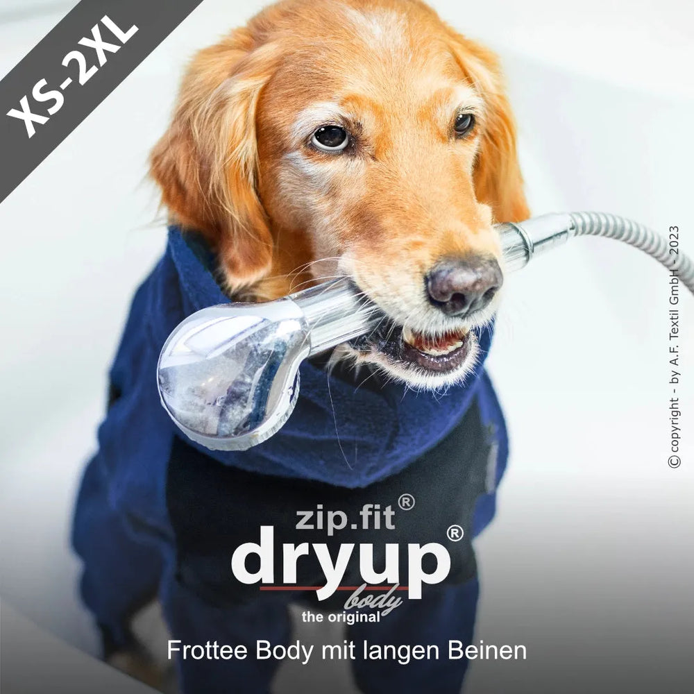 Hund im blauen Frottee-Bodysuit von Dryup® BODY zip.fit®, hält Wasseranschluss im Maul. Ideal für nasse Hunde.