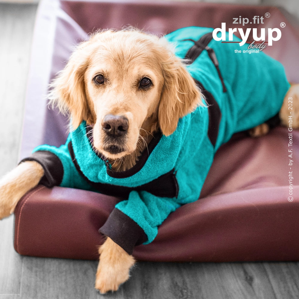 Ein entspannter Hund in einem türkisfarbenen gefütterten Überanzug auf einer Hundematte.