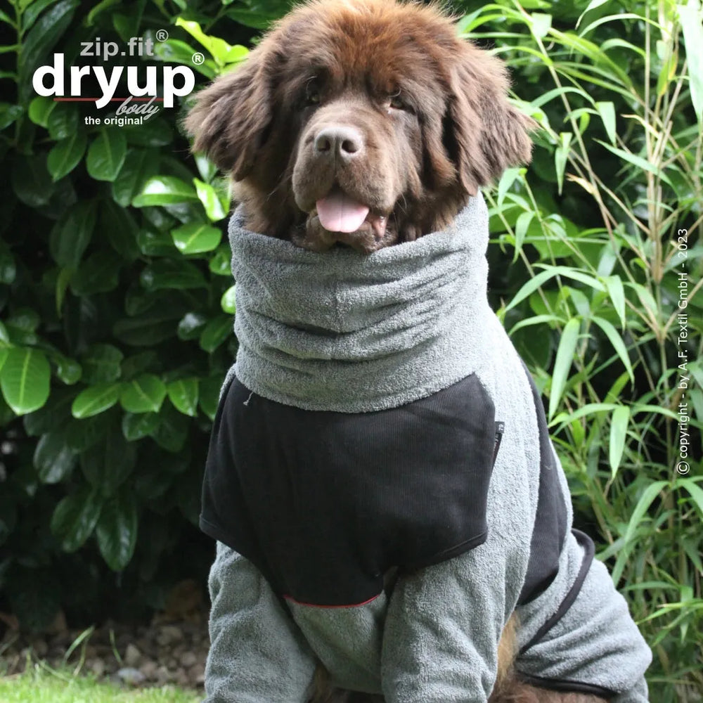 Hund im grauen, dick gefütterten Anzug auf Rasen, sitzt freundlich vor grünen Pflanzen.