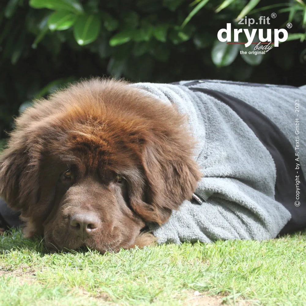Brauner Hund in grauem Pullover liegt auf grüner Wiese, umgeben von Sträuchern, mit logo oben rechts.