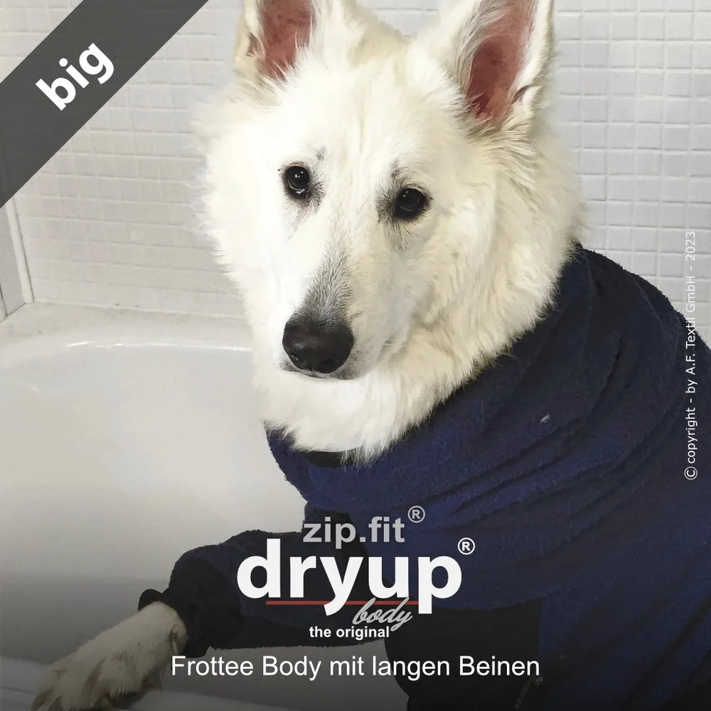 Weißer Hund in einer Badewanne mit blauem Frottee-Body, schaut freundlich zur Kamera.