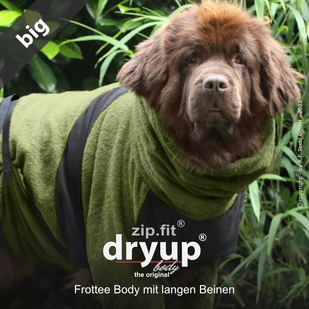 Hund im grünen Frottee-Body von Dryup® BODY zip.fit® big, umgeben von Pflanzen in natürlicher Umgebung.