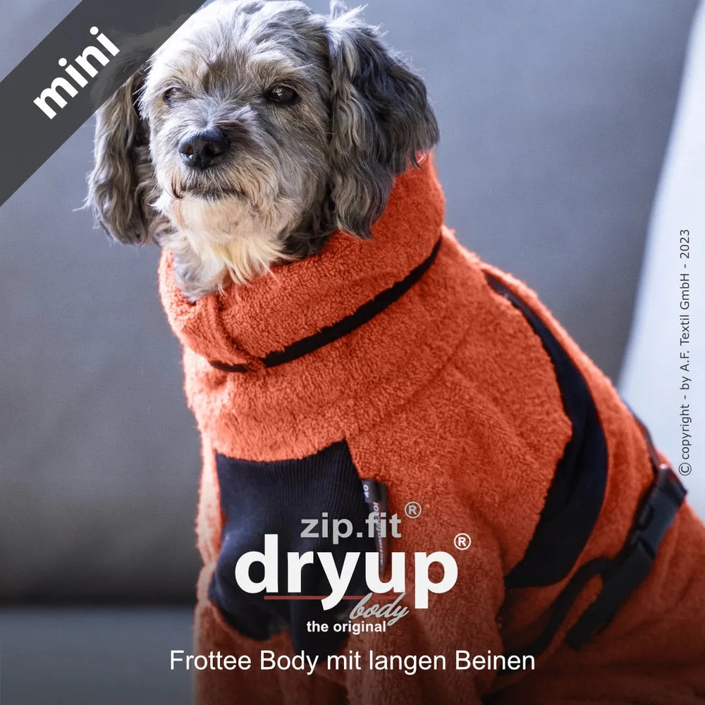 Kleiner Hund in orangefarbenem Fleeceanzug mit langen Beinen, gekennzeichnet als "dryup", sitzt auf weißem Hintergrund.