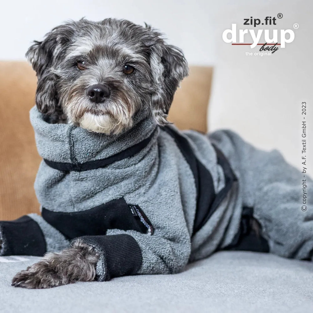 Kleiner Hund in grauem Overall mit schwarzen Streifen, entspannt auf Sofa liegend und in die Kamera schauend.
