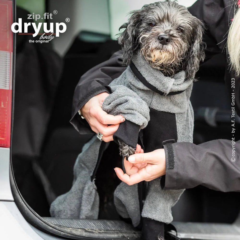 Hund im grauen Handtuch-Overall von Dryup® BODY zip.fit® mini sitzt im Auto, wird von einer Person befestigt.
