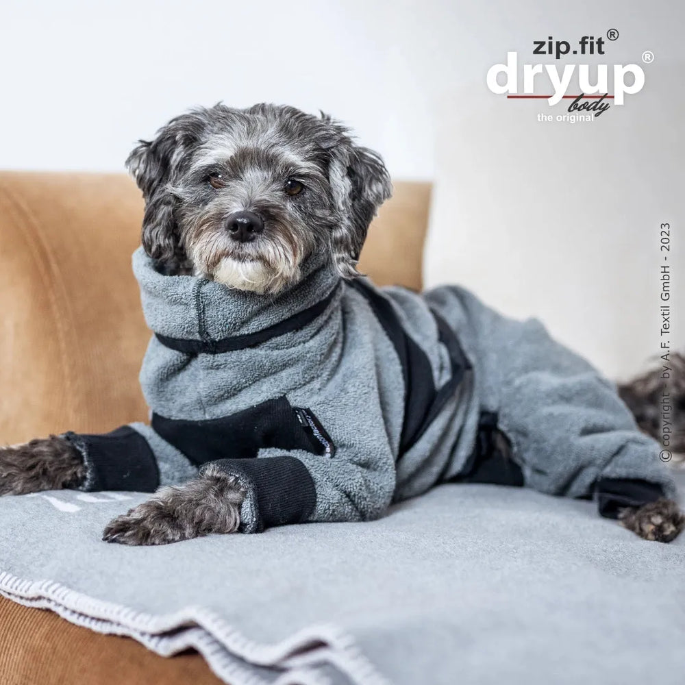 Hund im grauen Overall auf Sofa, entspannt und gemütlich, mit grauer Decke im Hintergrund.