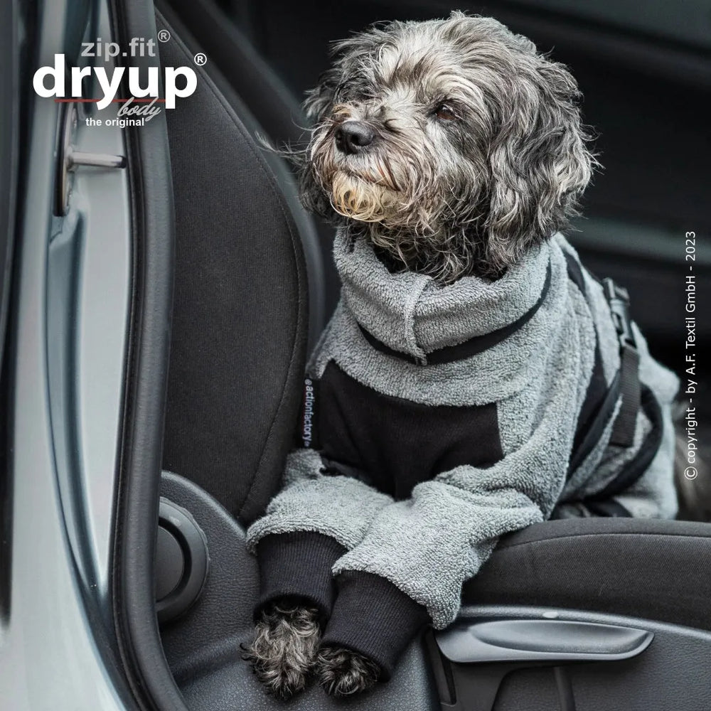 Hund im grauen, flauschigen Pullover auf Autositz, entspannt in die Kamera schauend, mit schwarzen Details.
