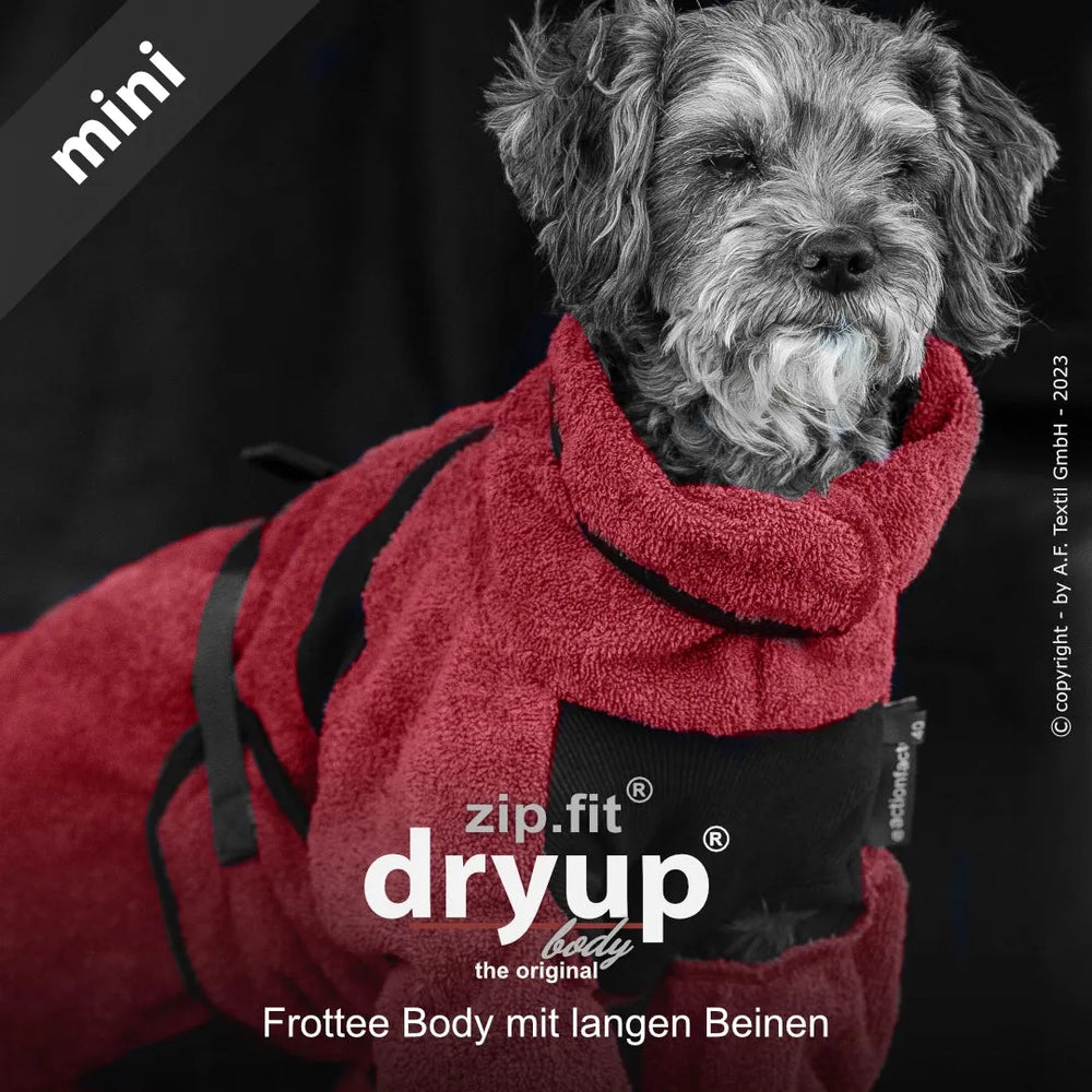 Kleiner Hund in rotem Frottéebody mit langen Beinen und Reißverschluss, steht vor dunklem Hintergrund.