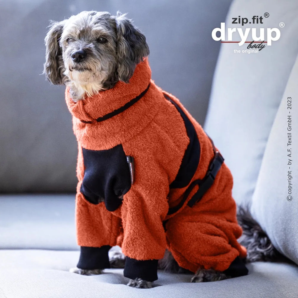 Hund in orangefarbenem Overalls mit schwarzen Akzenten sitzt auf hellgrauem Sofa und blickt in die Kamera.