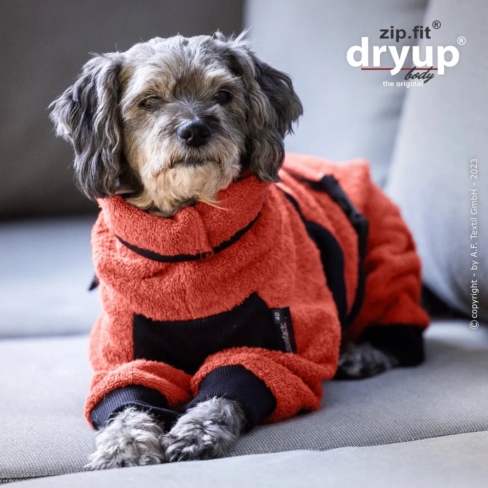Kleiner Hund im orangefarbenen Fleeceanzug mit Reißverschluss sitzt auf einem grauen Sofa und schaut neugierig in die Kamera.