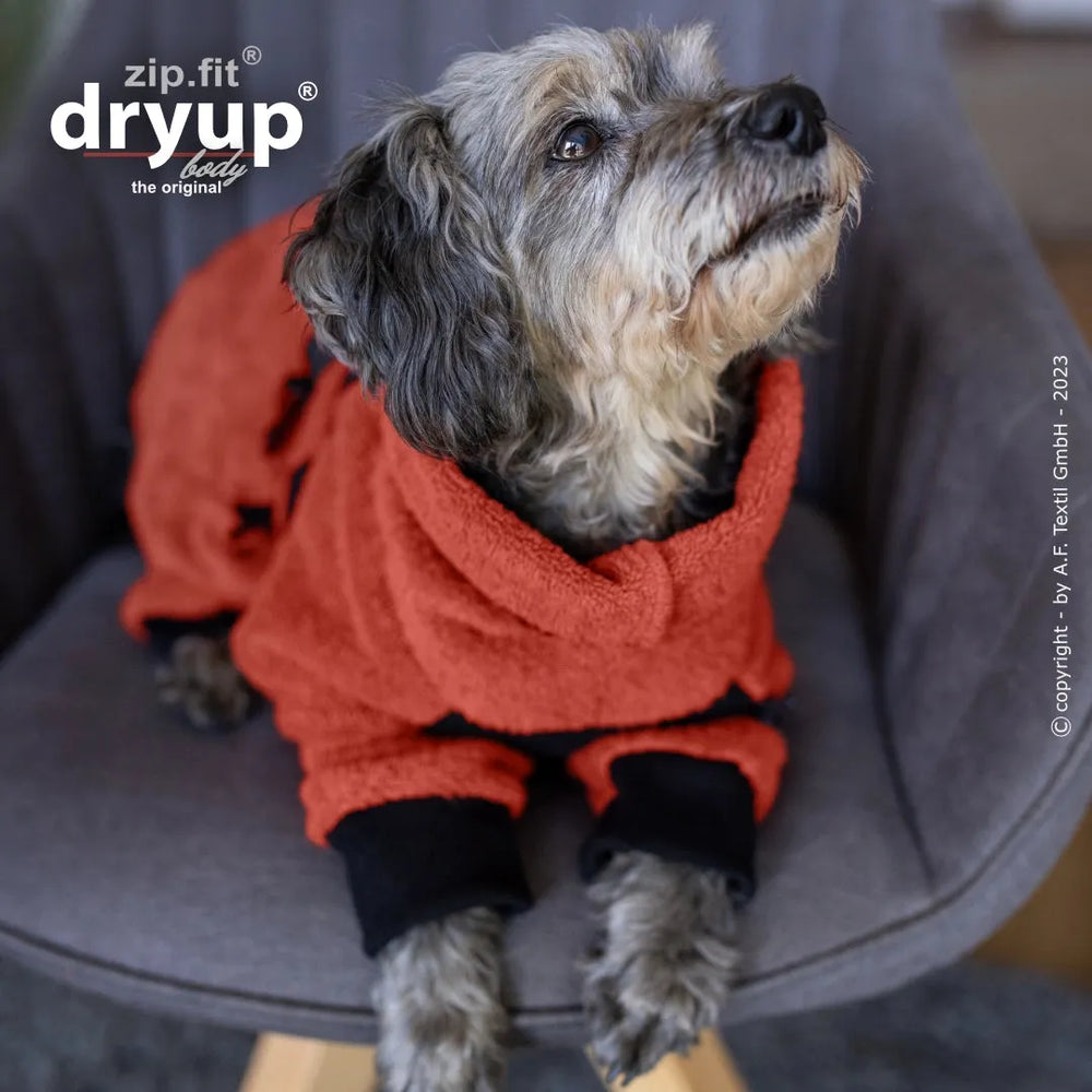 Hund im orangefarbenen Dryup® BODY zip.fit® mini Outfit sitzt bequem auf grauem Stuhl, warm und stylisch mit schwarzen Akzenten.