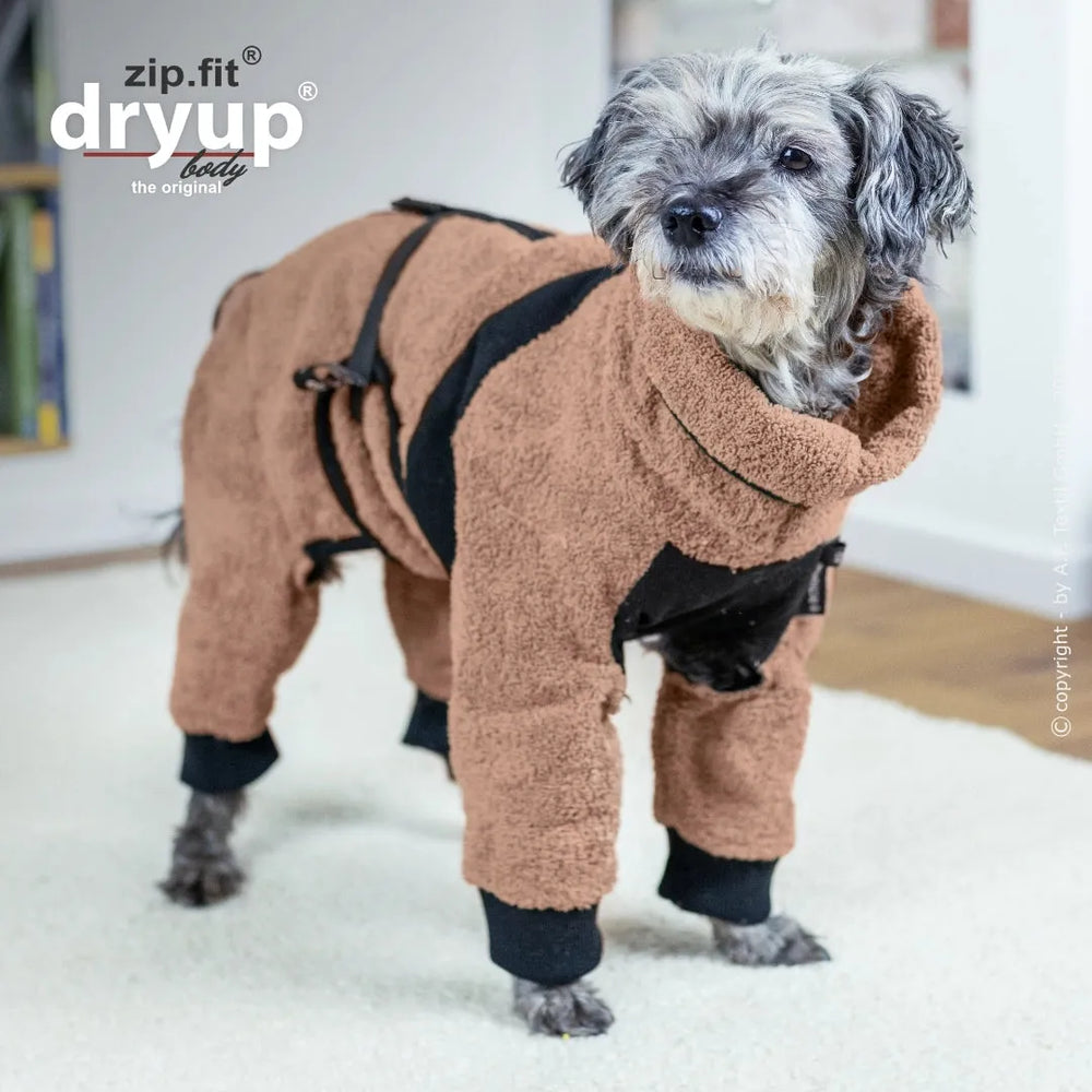 Hund im braunen Fleece-Anzug mit Kragen auf Teppich in hellem Raum.