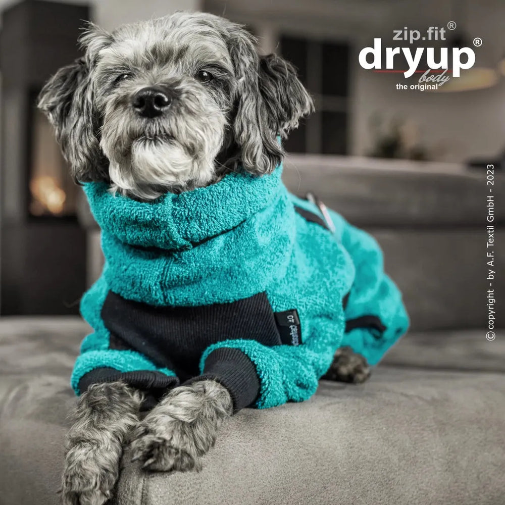 Hund in türkisem Dryup® BODY zip.fit® mini Mantel liegt entspannt auf grauem Sofa mit schwarzem Einsatz.