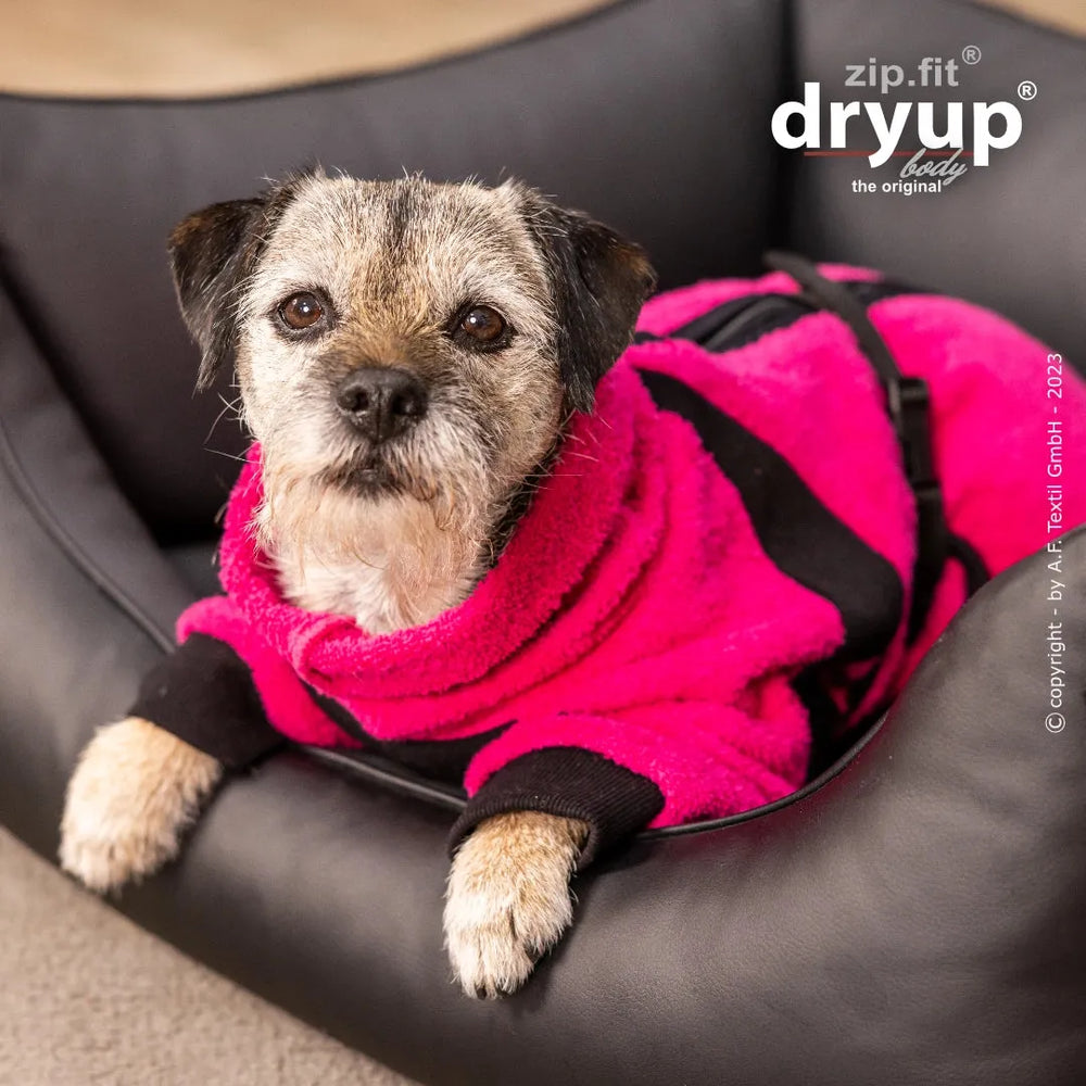 Kleiner Hund im pinken Fleeceanzug auf dunklem Sessel, entspannt liegend, Dryup® BODY zip.fit® mini Logo oben.