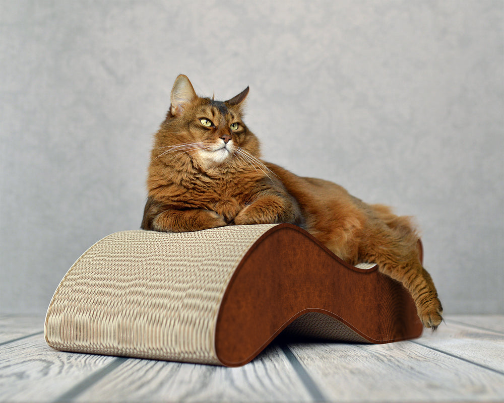 braun antik (002b) - Bild 1