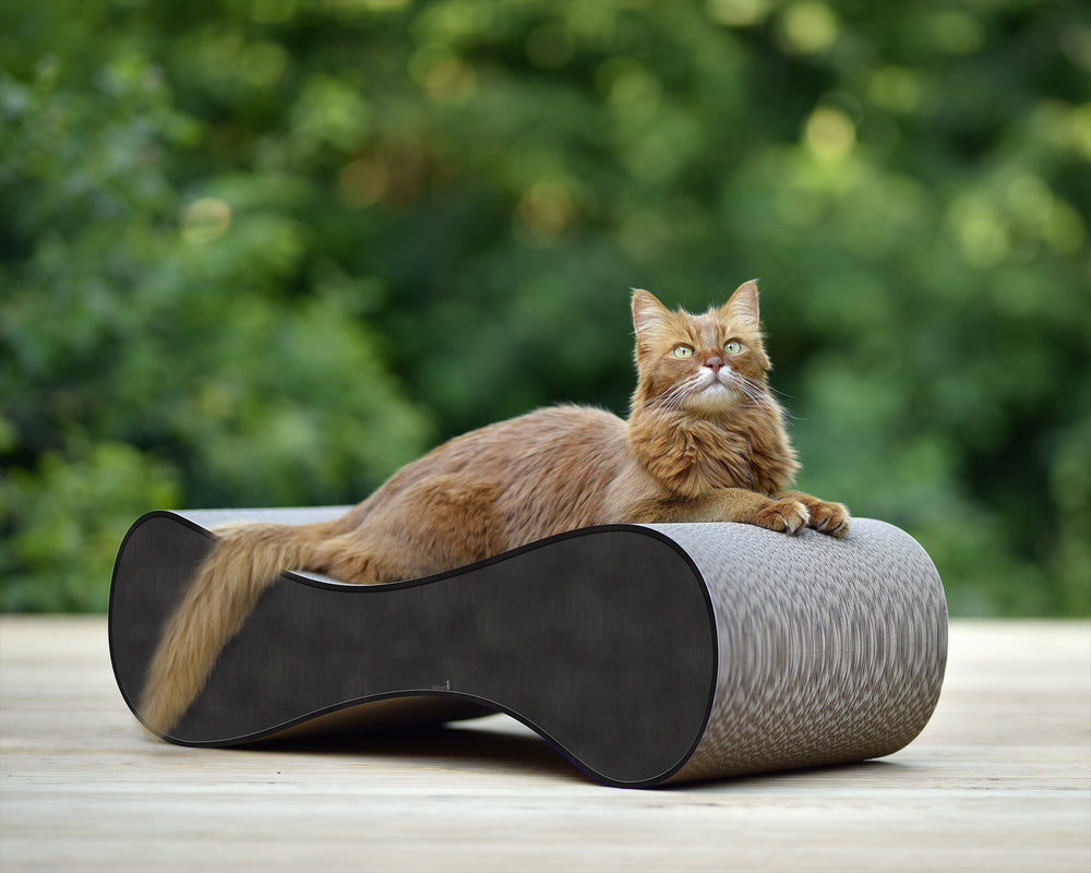 schwarz, meliert (013) - Bild 5