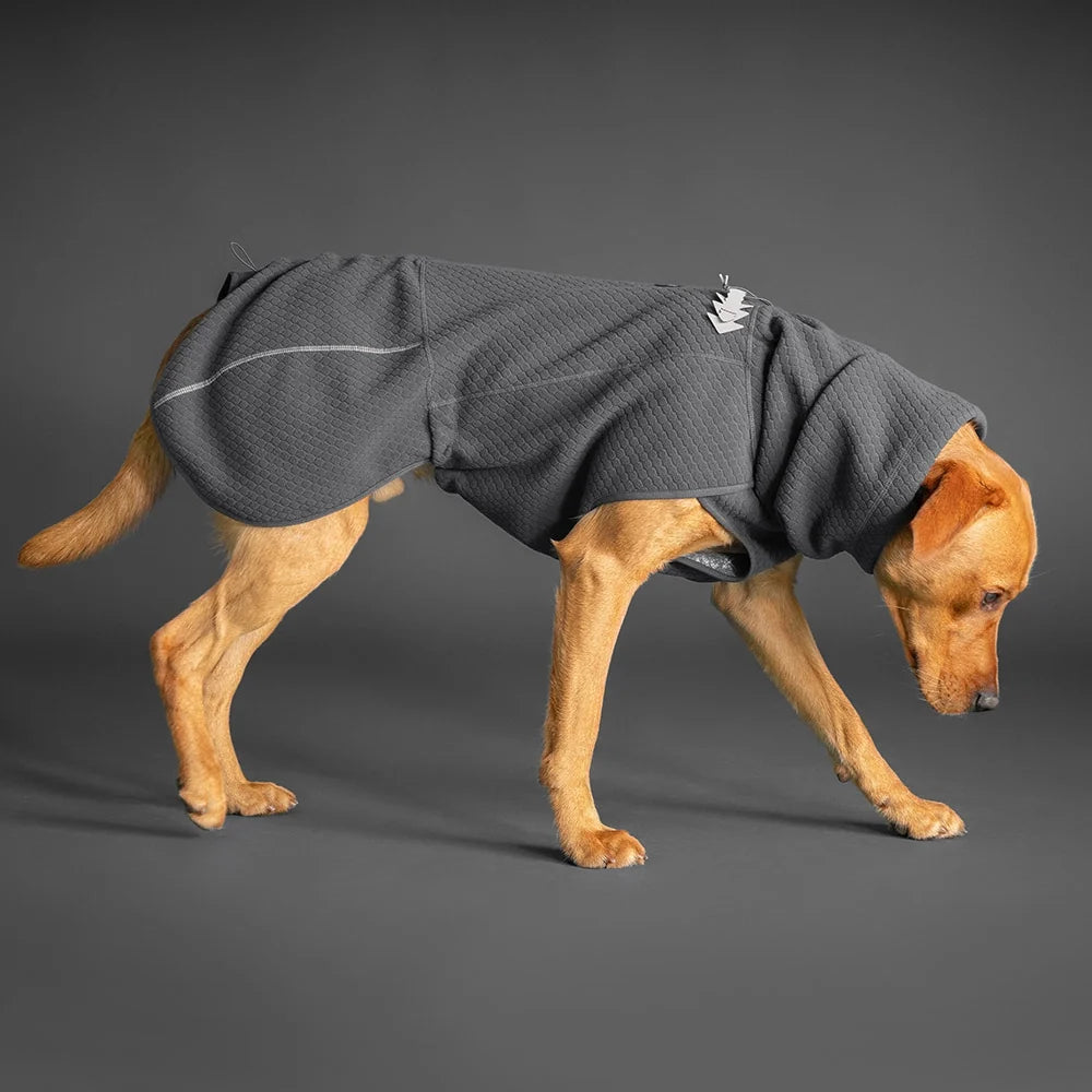 Hund in grauer, gestrickter Wärmende Jacke für kalte Tage mit hohem Kragen und gemütlichem Design.