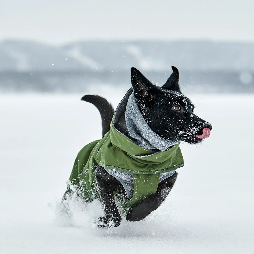 Walk All-Season – Hundejacke – zusätzliche Produktansicht 6