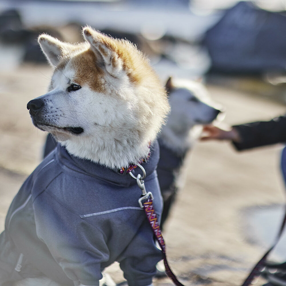 Hunde Overall Midlayer – zusätzliche Produktansicht 4