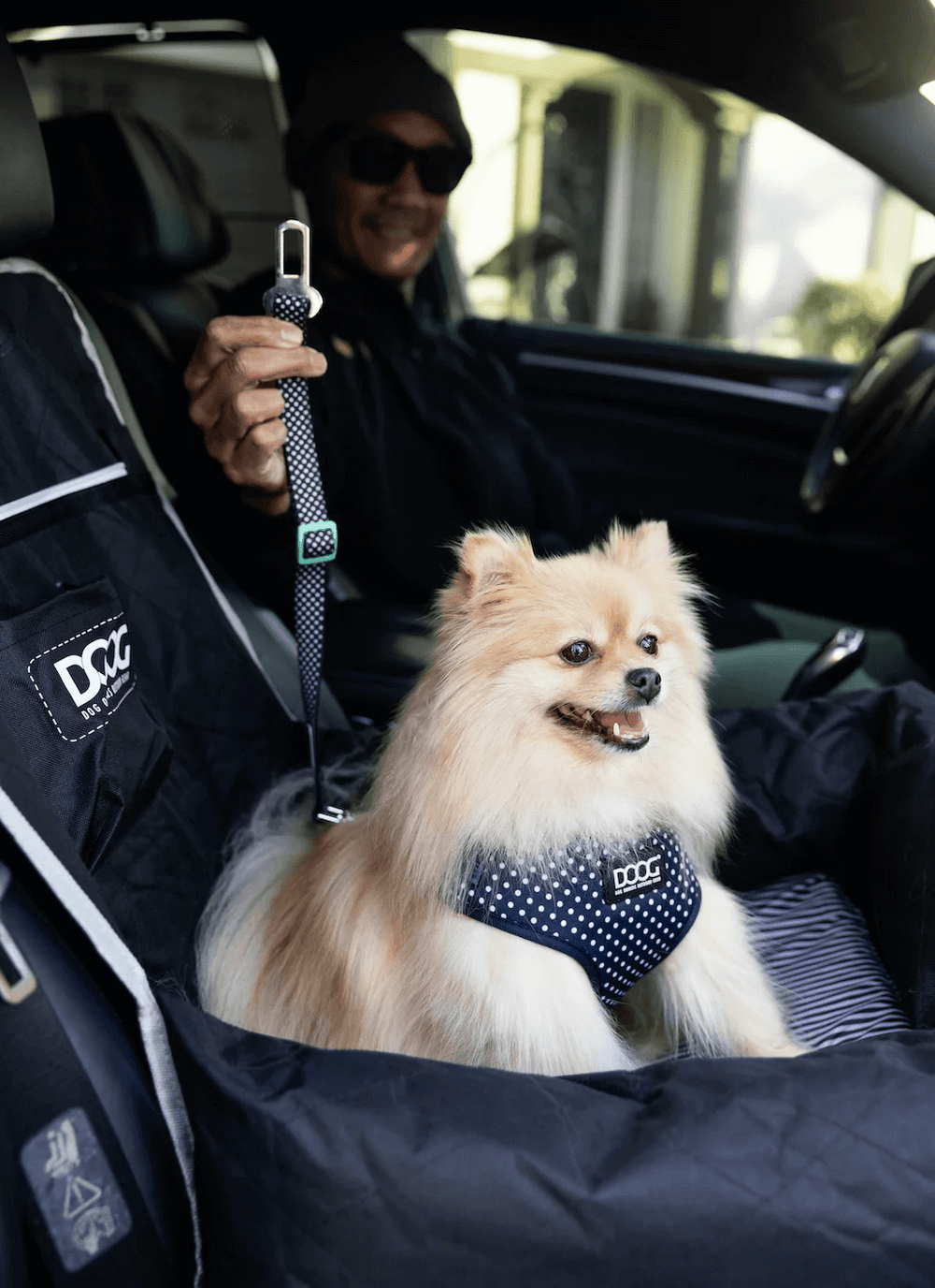 Pomeranian-Hund im Autositz mit gepunktetem DOOG Neoflex Geschirr, umgeben von einem gepolsterten Sitzbezug.