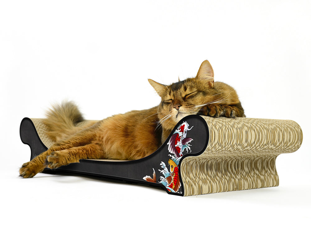 schwarz, Koi (035) - Bild 1