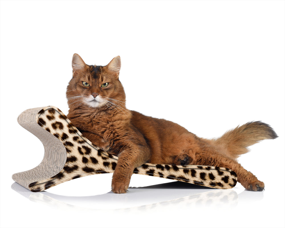 gepard (052) - Bild 2