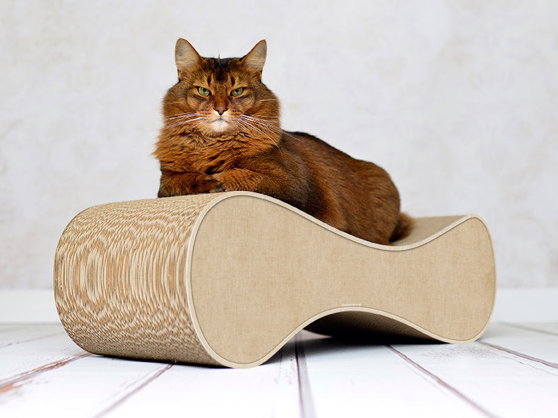 hellbeige (005f) - Bild 1