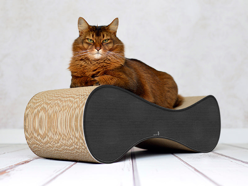 anthrazit (013h) - Bild 1