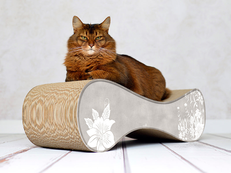 grau, weiße Blumen (019) - Bild 1