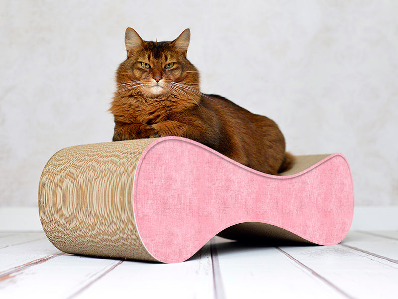 hellrosa (205) - Bild 1