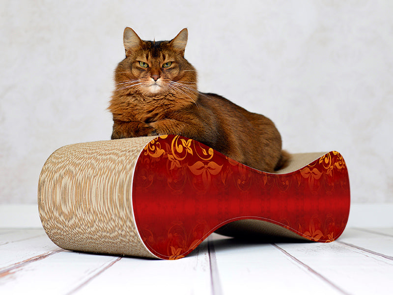 élégance (030) - Bild 4