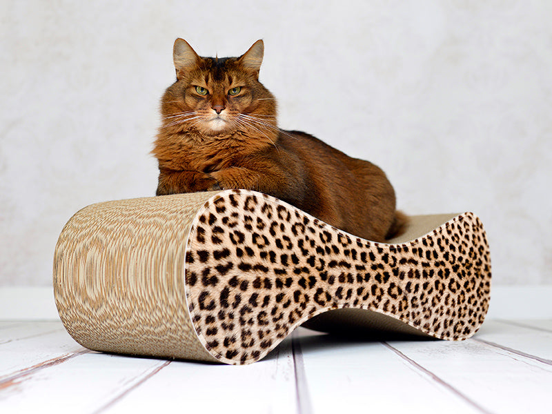 gepard (052) - Bild 1