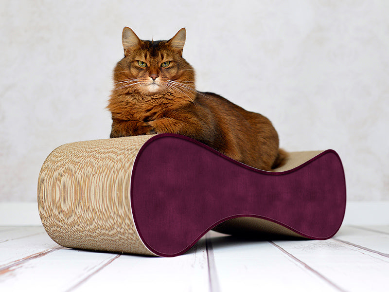 violett (070) - Bild 1