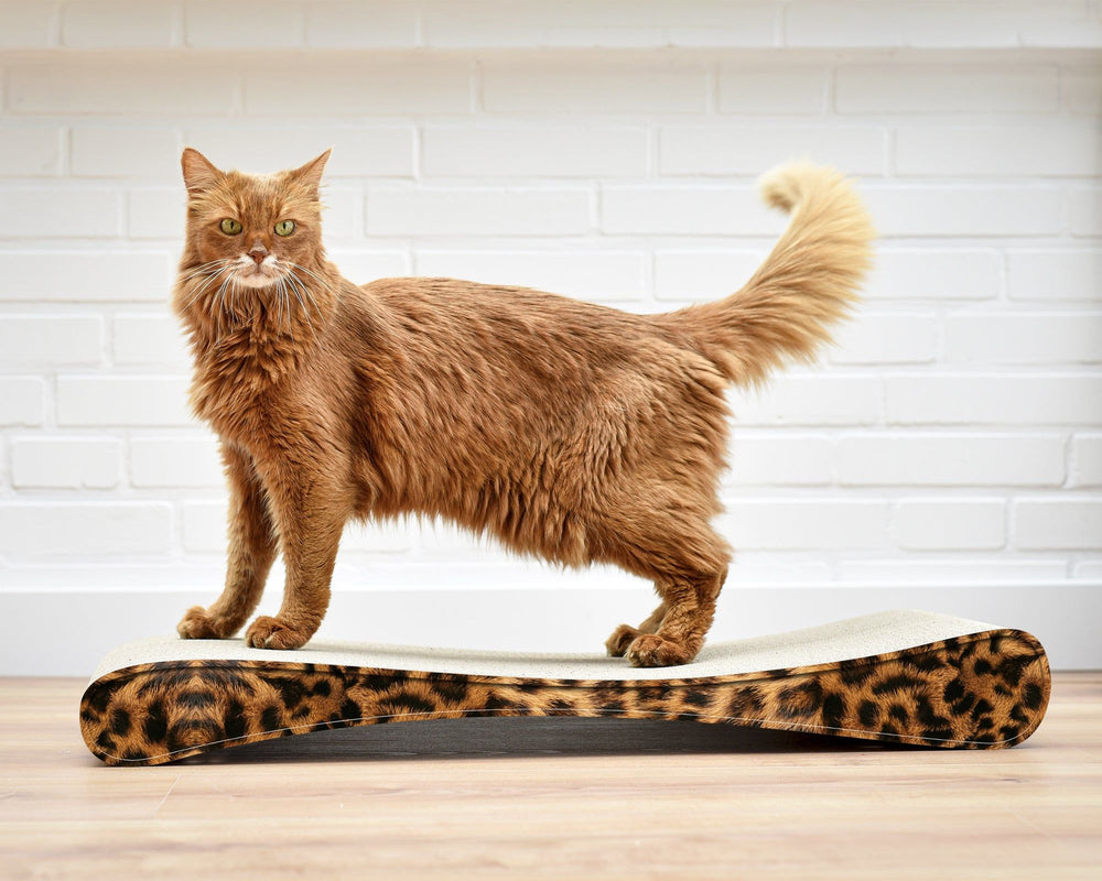 leo (051) - Bild 2