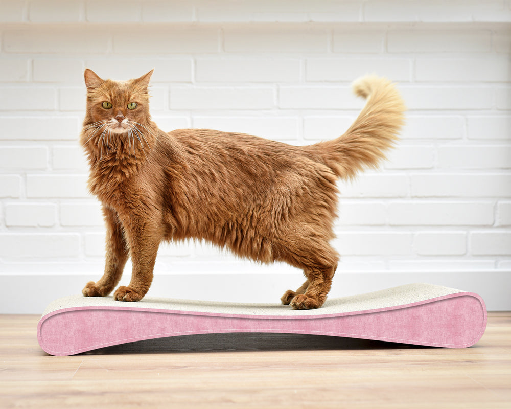 hellrosa (205) - Bild 3