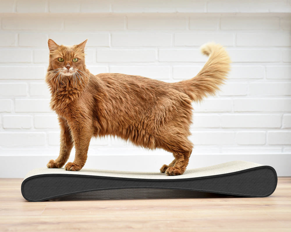 anthrazit (013h) - Bild 3