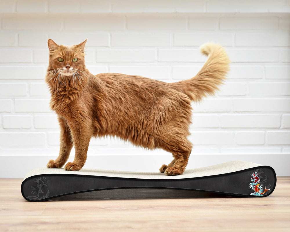 schwarz, Koi (035) - Bild 3